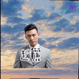 赵丽